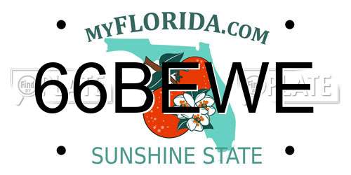 66BEWE Florida License Plate