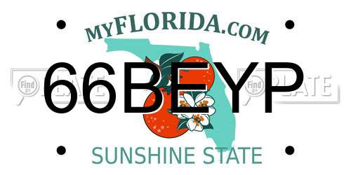 66BEYP Florida License Plate