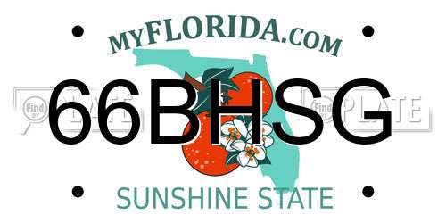 66BHSG Florida License Plate