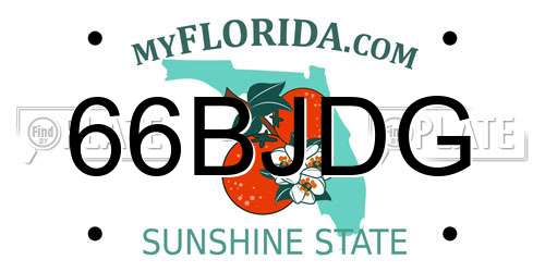 66BJDG Florida License Plate