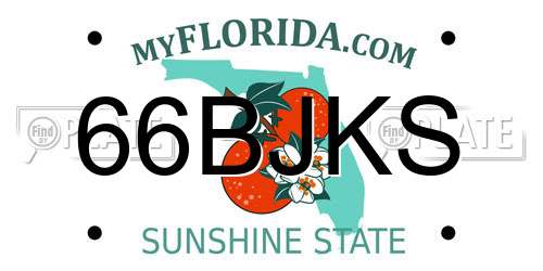 66BJKS Florida License Plate