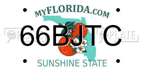 66BJTC Florida License Plate