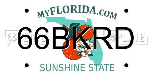 66BKRD Florida License Plate