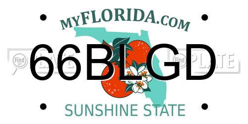 66BLGD Florida License Plate
