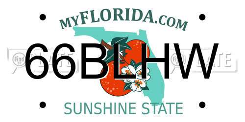66BLHW Florida License Plate