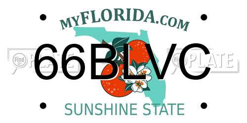 66BLVC Florida License Plate