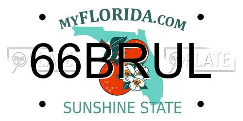 66BRUL Florida License Plate