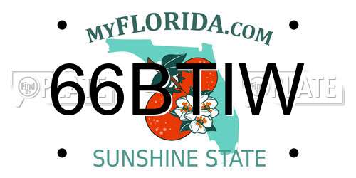 66BTIW Florida License Plate