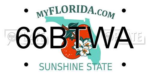 66BTWA Florida License Plate