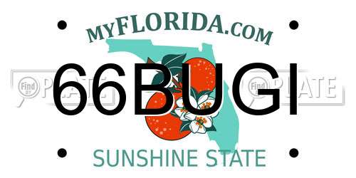 66BUGI Florida License Plate