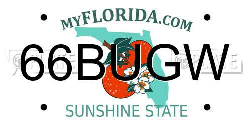 66BUGW Florida License Plate