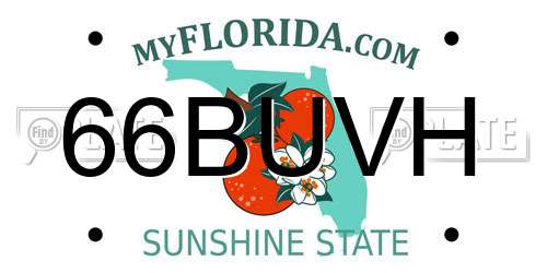 66BUVH Florida License Plate