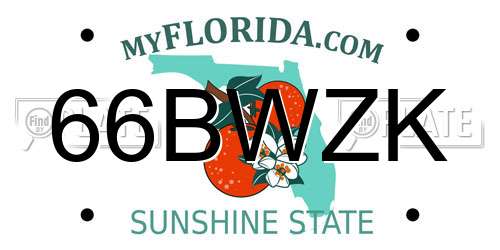 66BWZK Florida License Plate