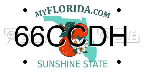 66CCDH Florida License Plate
