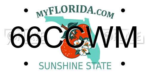 66CCWM Florida License Plate