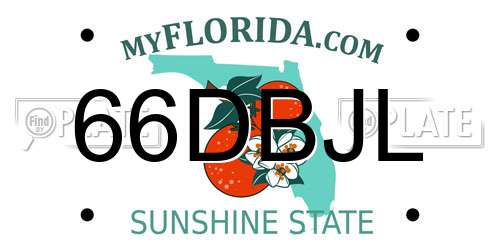 66DBJL Florida License Plate