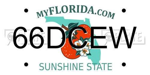 66DCEW Florida License Plate