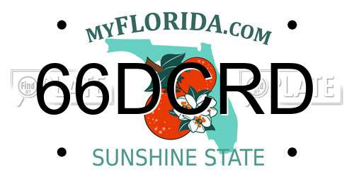 66DCRD Florida License Plate