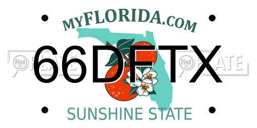 66DFTX Florida License Plate