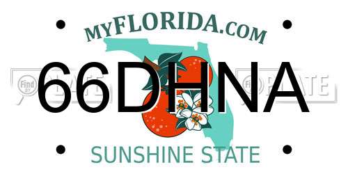 66DHNA Florida License Plate