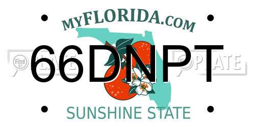 66DNPT Florida License Plate