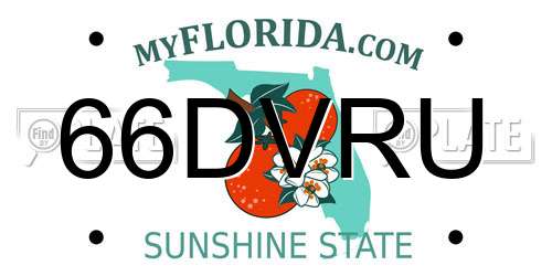 66DVRU Florida License Plate