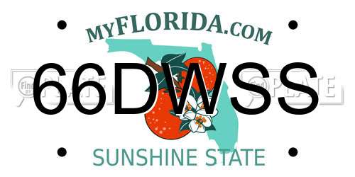 66DWSS Florida License Plate