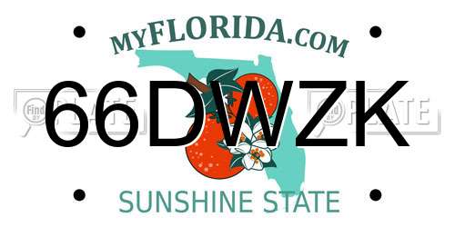 66DWZK Florida License Plate