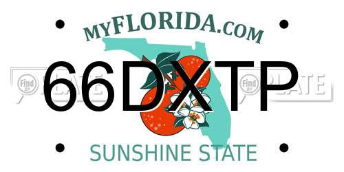66DXTP Florida License Plate