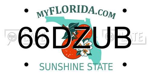 66DZUB Florida License Plate