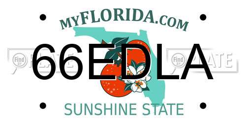 66EDLA Florida License Plate