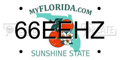66EEHZ Florida License Plate