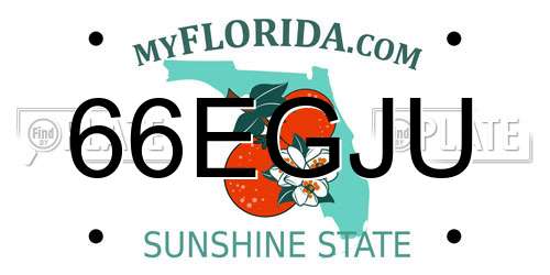 66EGJU Florida License Plate