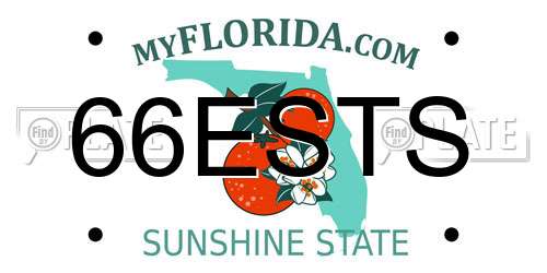 66ESTS Florida License Plate