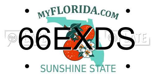 66EXDS Florida License Plate