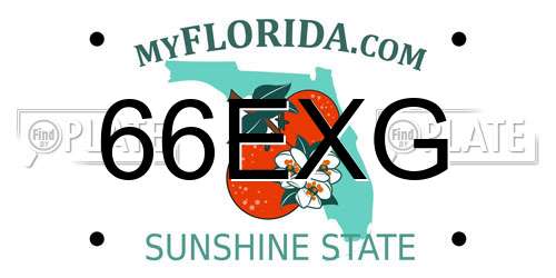66EXG Florida License Plate