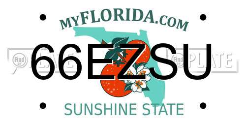 66EZSU Florida License Plate