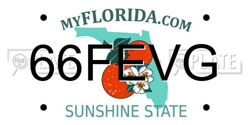66FEVG Florida License Plate