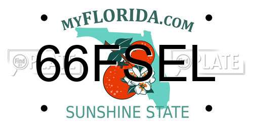 66FSEL Florida License Plate