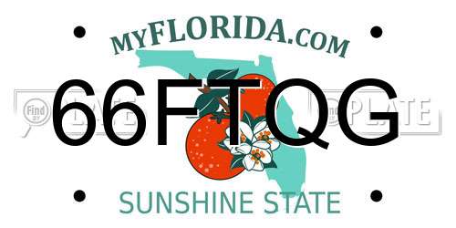 66FTQG Florida License Plate