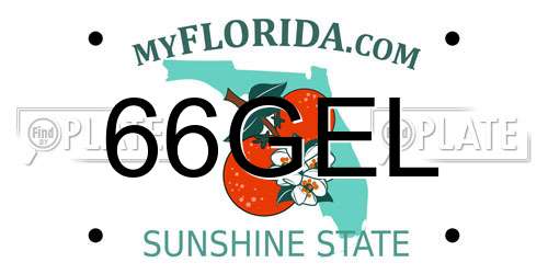66GEL Florida License Plate