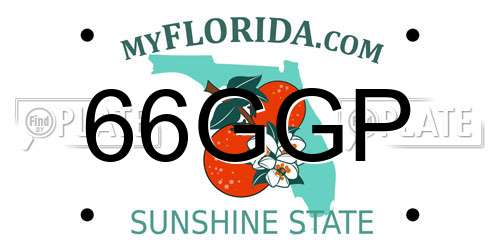 66GGP Florida License Plate