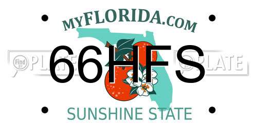 66HFS Florida License Plate