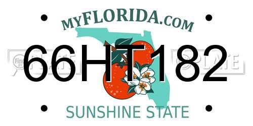 66HT182 Florida License Plate