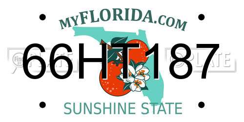 66HT187 Florida License Plate