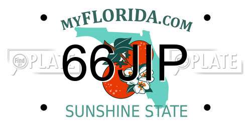 66JIP Florida License Plate