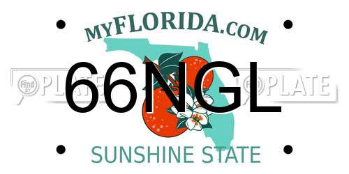 66NGL Florida License Plate