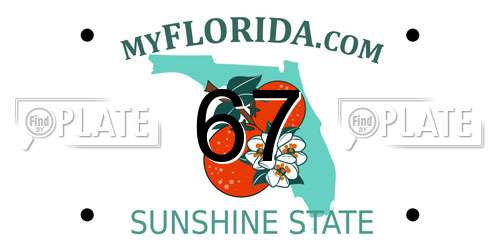 67 Florida License Plate