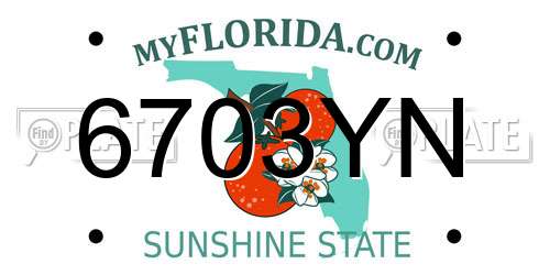 6703YN Florida License Plate