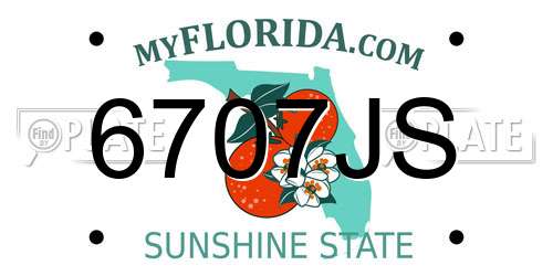 6707JS Florida License Plate